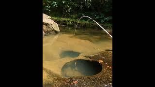Mw Story GANAS SEKALI.. Mancing Ikan Wader diSpot Dangkal dan Berbatu 24 #mancingwader