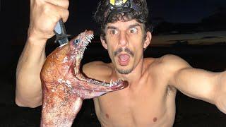 THIS ZOMBIE EEL IS IMPOSSIBLE TO KILL  Spearfishing Catch and Cook Adventure