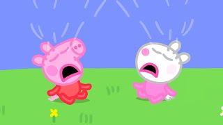 Baby Peppa And Baby Suzy   Peppa Pig Official Full Episodes