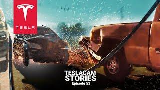 HONDA SMASHES INTO STOPPED CARS AT FULL SPEED  TESLACAM STORIES #53