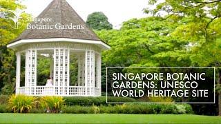 Singapore Botanic Gardens UNESCO World Heritage Site