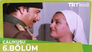 Çalıkuşu 6. Bölüm