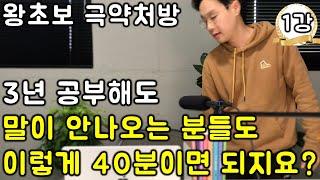 50대 왕초보 전용 _ 12개 패턴으로 끝내는 영어 말하기 1강 친절한 대학 정주행 695편