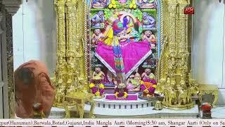 Mangla Aarti Darshan Salangpur Date 16 07 2024