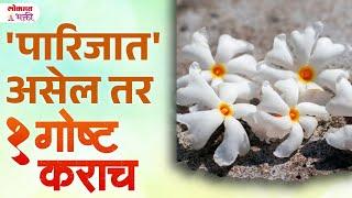 Parijat Phulachya Jhadache Vastu Upay... Hoil Laxmi Krupa...  Vastu Tips For Money in Marathi  SG3