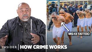 How The MS-13 Gang Actually Works  How Crime Works  Insider