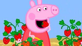Peppa Pig ⭐ Çiçekler  Programının en iyi bölümleri  Çocuklar için Çizgi Filmler