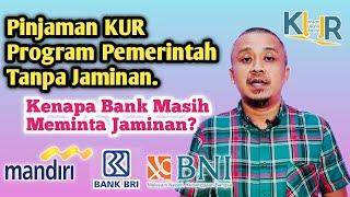 Pinjaman KUR Dari Pemerintah Tanpa Jaminan Kenapa Bank Meminta Jaminan?