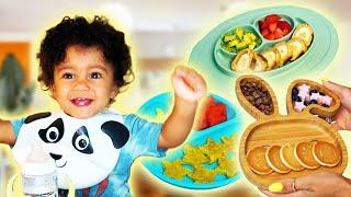 Easy Healthy Toddler Meals  Jena Frumes