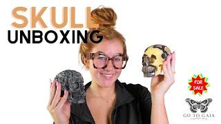 Crystal Skull Unboxing  Vol 4