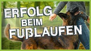 So bringst du deinem Hund das Fuß laufen bei – die ersten Schritte zum Erfolg