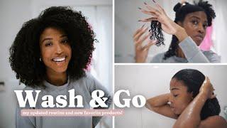 My Updated Wash & Go Routine All New Products