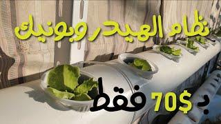 طريقة عمل الزراعة المائية في المنزل الهيدروبونيك hydroponic 