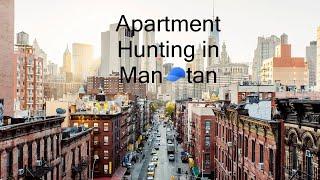 $3500 Budget NYC Apartment Hunting in 2023  1B1B  9 Apartments with Price and Details
