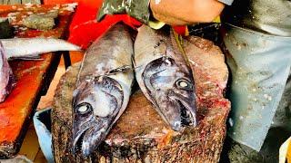 Excellent Cutting Skills  Big OilFish Cutting By Expert Fish Cutter