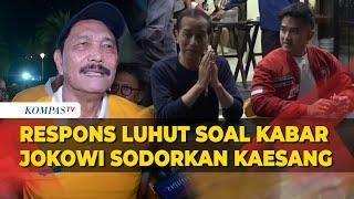 Respons Luhut soal Kabar Presiden Jokowi Sodorkan Nama Kaesang Maju Pilgub Jakarta ke Parpol