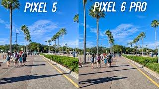 Google Pixel 6 Pro vs Pixel 5 Camera Test Better or Worse?