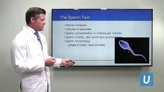 Improving Fertility in Men with Poor Sperm Count  Jesse Mills MD  UCLAMDChat