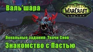 Знакомство с Пастью. Локальные задания Ткачи Снов - Вальшара. WoW Legion