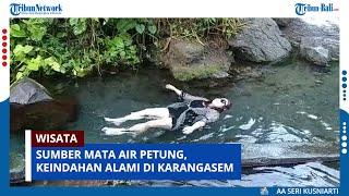 SUMBER MATA AIR PETUNG KEINDAHAN ALAMI DI KARANGASEM