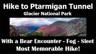 Ptarmigan Tunnel Hike in Glacier National Park  w bear encounter Fog and Sleet