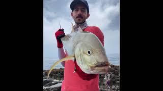 Fishing trip in Oman Lakbi Casting with Gt ice cream lures blue fish 10kg+ 