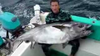 Dogtooth Tuna Spearfishing World Record