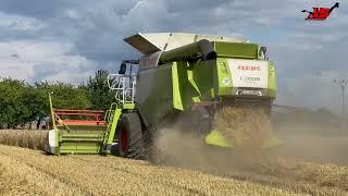 Harvesting Technology  Claas Lexion 670  wheat harvesting  combine harvester