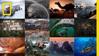 A Year of Images in 30 Seconds Photo of the Day  National Geographic