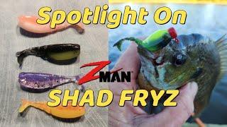 Micro Finesse - Focus on Z-Man Shad FryZ