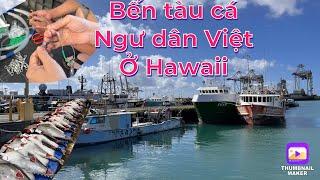 Bến tàu câu cá ngừ đại dương của người Việt ở Hawaii  Tìm hiểu sơ về nghề này