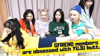 GFRIEND members are obsessed with YUJU butt