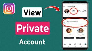 How to View Private Account on Instagram 2024 in 1-Minute