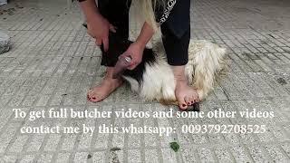 woman butcher goat Daily routine