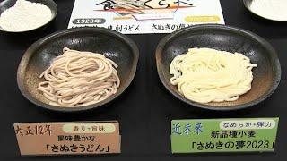 大正時代と近未来の2種類のうどんを食べ比べ　11月3日にイベント限定で1000食ずつ販売【香川】