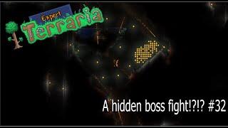 A hidden boss fight??  Expert Terraria #32