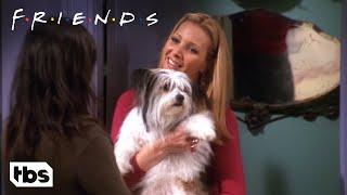 Chandler Doesn’t Like Dogs Clip  Friends  TBS