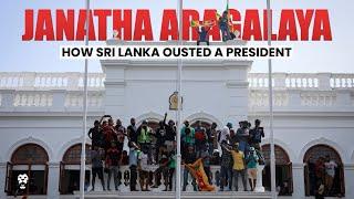 Janatha Aragalaya How Sri Lanka Ousted A President