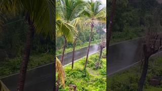 Monsoon vibes #baarish #foryou #viral #trending #shorts #utubeshort #viralshort #trendingvideo