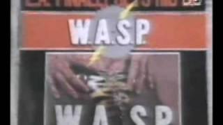 W.A.S.P. - Sunset and Babylon