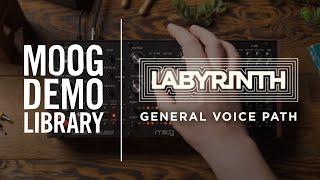 Labyrinth  General Voice Path