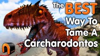 Ark How To Tame A Carcharodontosaurus AMAZING REAL WAY