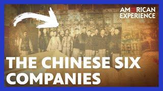 The Companies That Led Chinatown  Plague at the Golden Gate  American Experience  PBS