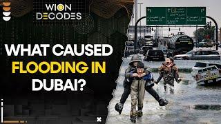 Dubai Floods What caused flooding in Dubai? I WION Decodes