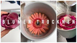 Blumen trocknen Tutorial  Ohne Farbverlust 