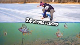 Unbelievable Outdoor Adventure - How to Catch Epic Fish While Camping