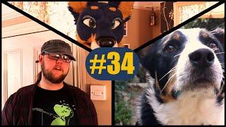 At Home With Artemis #34