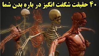 40 حقیقت جالب و شگفت انگیز در بدن شما که نمیدانستید