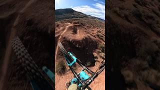Dreamy MTB Flow Trail  GoPro POV