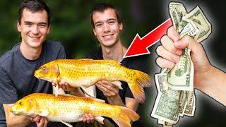 How To Catch More Carp and SPEND LESS MONEY Carp Fishing On A Budget